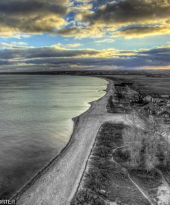 Zatoka Pucka. Dziesiątki martwych łabędzi. Ekolodzy: to efekt skażenia