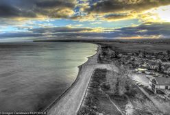 Zatoka Pucka. Dziesiątki martwych łabędzi. Ekolodzy: to efekt skażenia