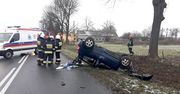 Dachowanie w Studźcach