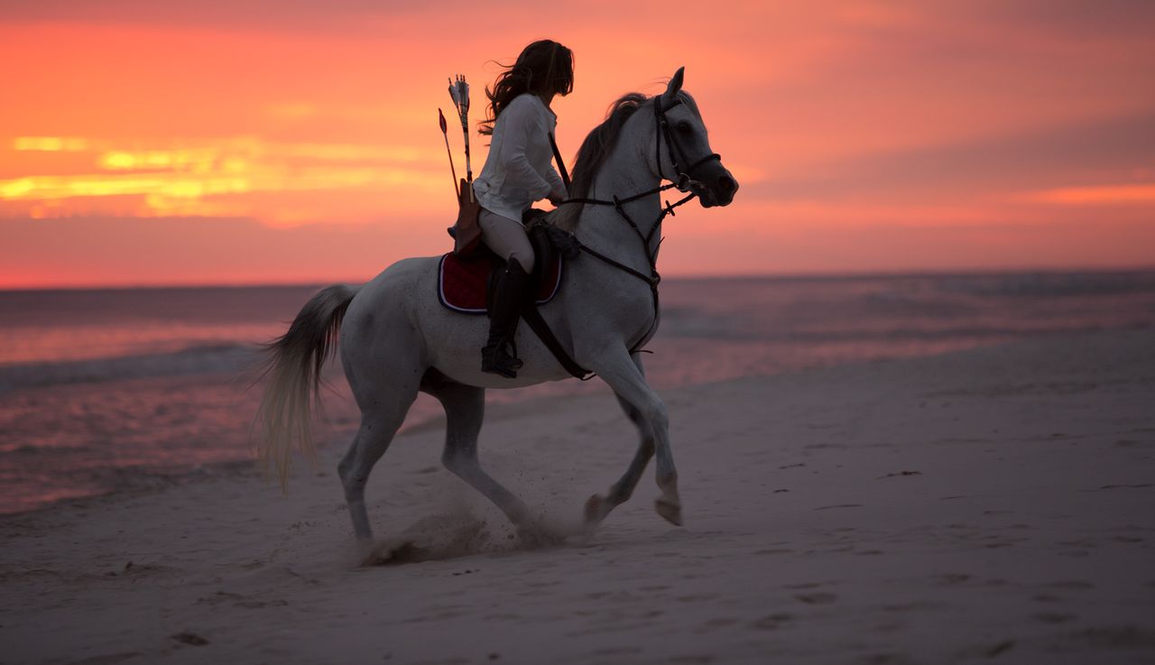 Kobieta z łukiem. Anna Sokólska o niecodziennym sporcie