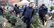 Prezydent kupił choinkę. Na bazarze, droga nie była