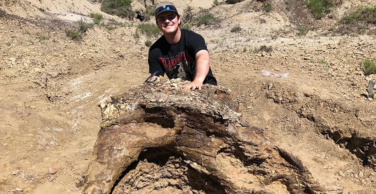 Niezwykłe odkrycie studenta. Znalazł czaszkę dinozaura sprzed 65 mln lat