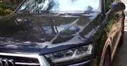 Luksusowe audi q7 za 360 tys. zł znalezione w lesie. Wcześniej zostało ukradzione
