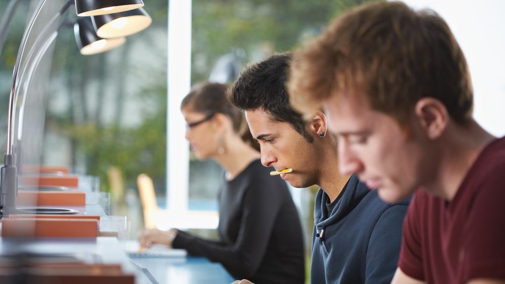 Już niedługo każdy student otrzyma wynagrodzenie za praktyki lub staż?
