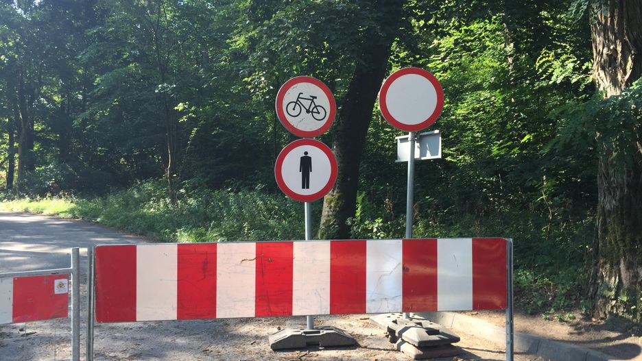 Młodzi mężczyźni wywieźli 17-latka do pobliskiego lasu