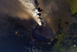 Wulkan, sądy i zwierzęta. Najlepsze zdjęcia tygodnia