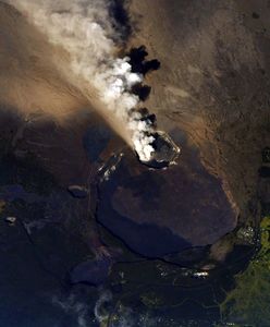 Wulkan, sądy i zwierzęta. Najlepsze zdjęcia tygodnia