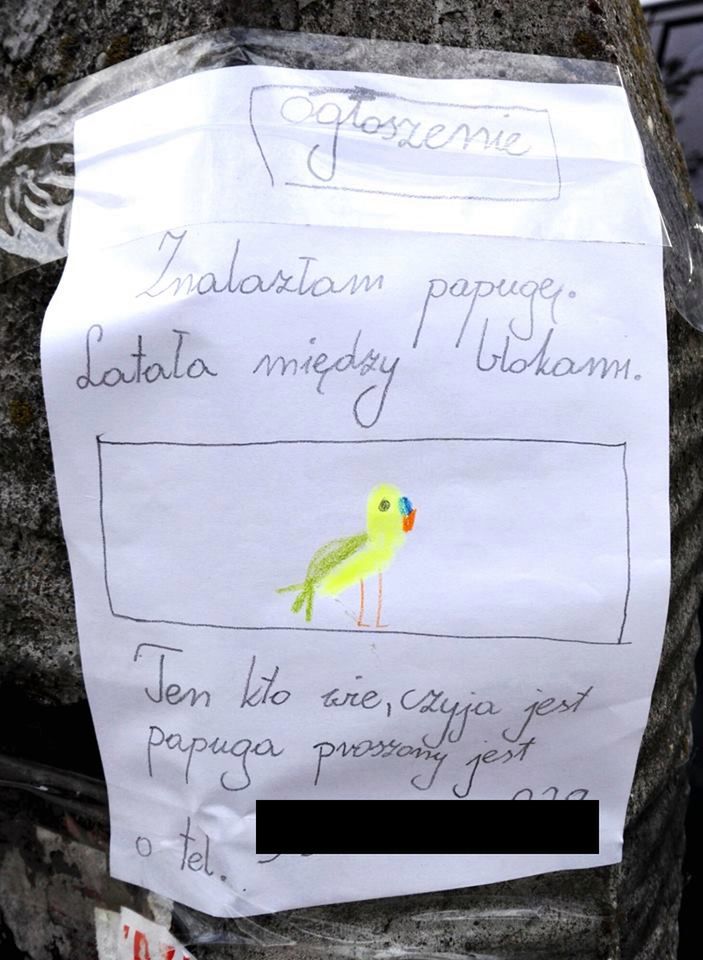 Nietypowe ogłoszenie na Saskiej Kępie