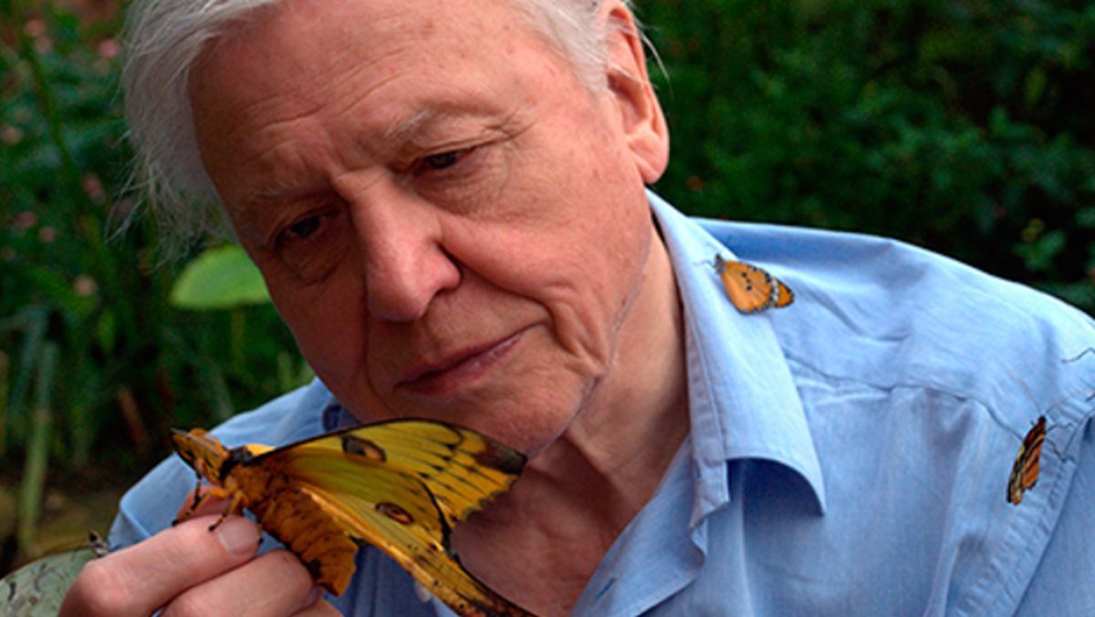 David Attenborough - biolog Jej Królewskiej Mości