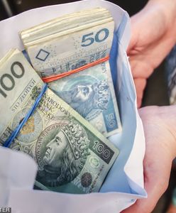 Portret zadłużonego Polaka: dużo kredytów, ale coraz mniej chwilówek