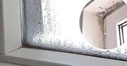 Woda na oknach to częsty problem. Wystarczy 1 składnik z kuchni, by temu zaradzić