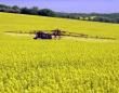 Rolnicy-ekolodzy nie chcą do UE