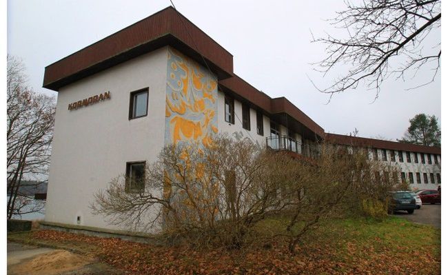 Obraz