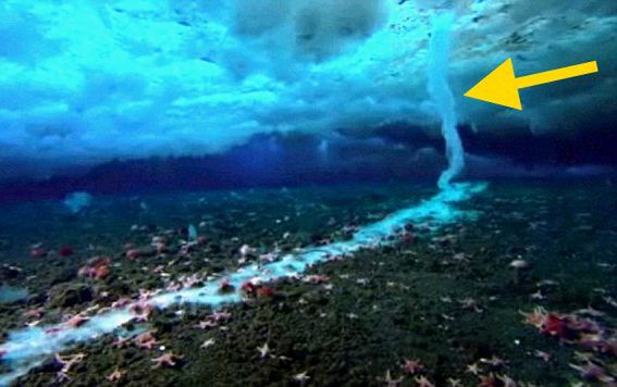 #aleocochodzi Zabójczy "lodowy palec" na dnie morza