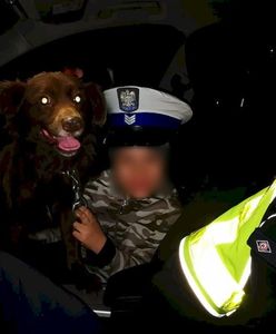 Łuków. Ośmiolatek wybiegł za psem i zaginął. Odnalazł się w pobliżu torów