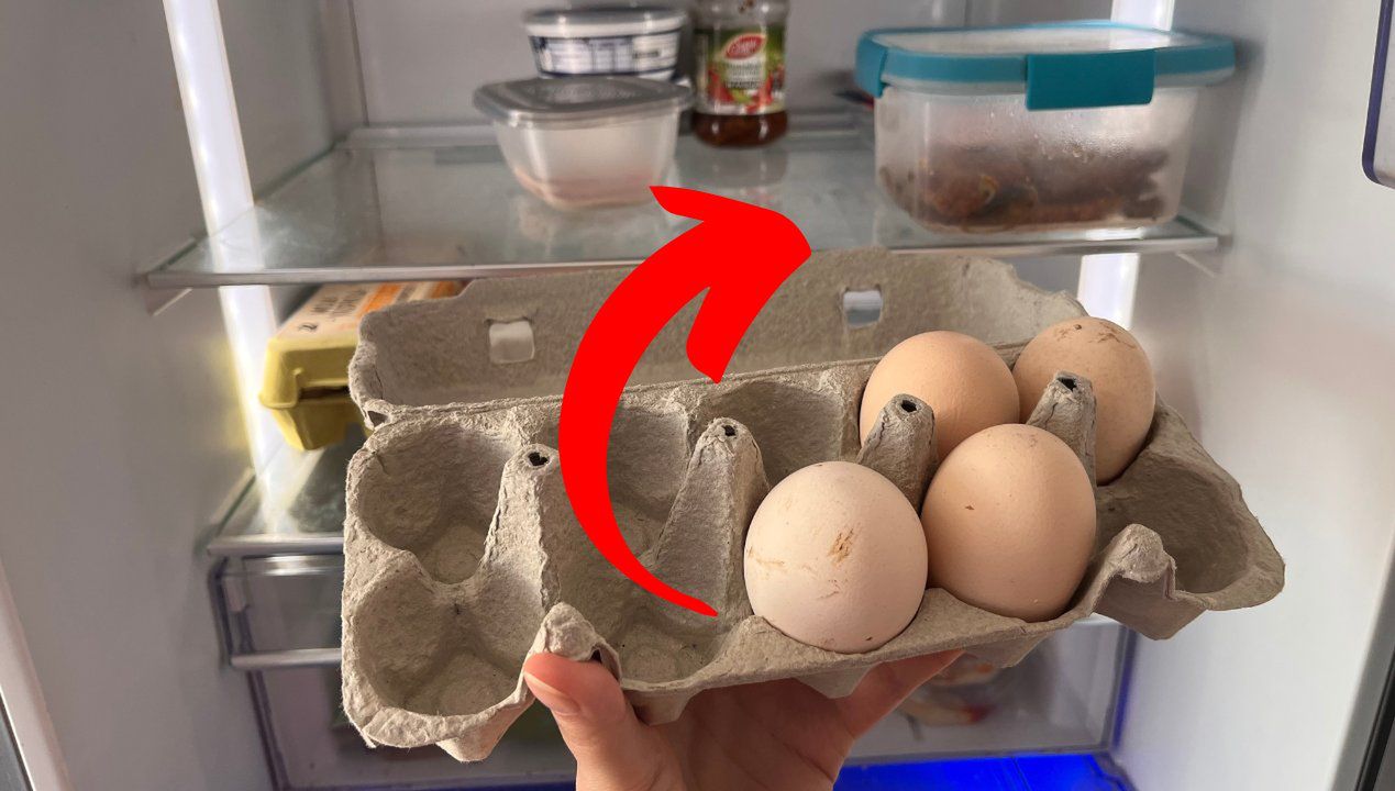 Jak przechowywać jajka? Fot. Genialne.pl
