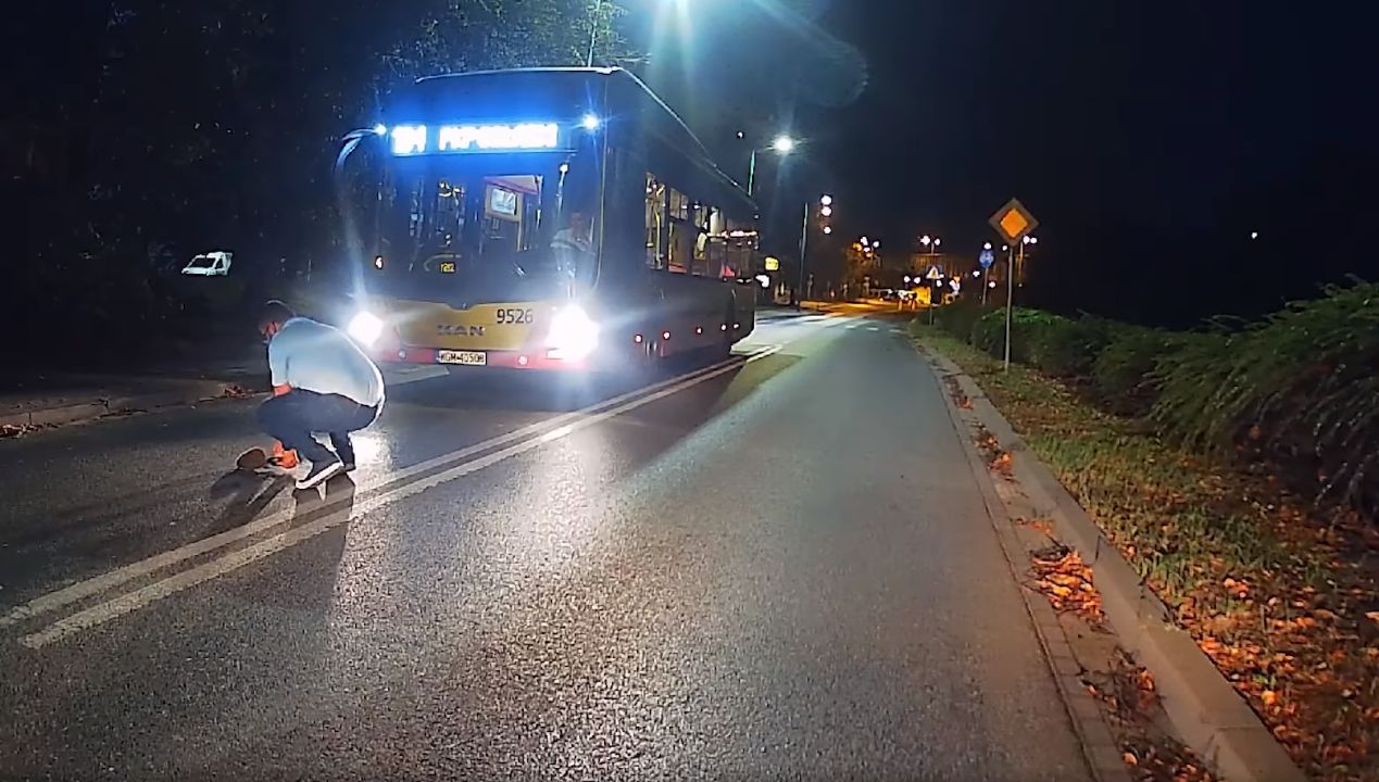 Niespotykana reakcja kierowcy. Zatrzymał autobus, by uratować małego jeża