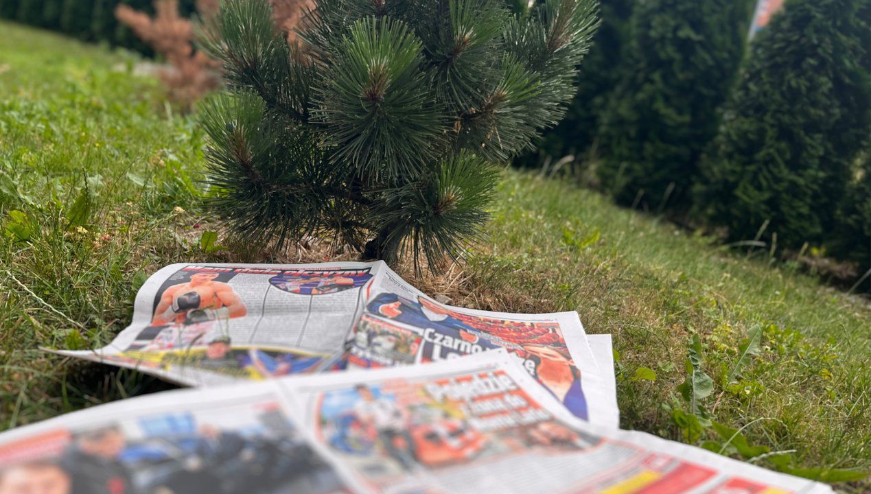 Gazety na ziemi pomagają na chwasty. Fot. Genialne.pl