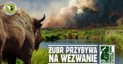Producent znanego piwa postanowił pomóc. Wykupuje działki, żeby chronić zagrożone gatunki