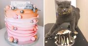 17 urodzinowych tortów, które oczarują każdego fana kotów