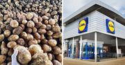 Po burakach przyszła kolej na ziemniaki. Lidl znów wyciąga rękę do polskich rolników