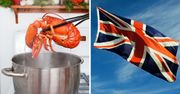 Wielka Brytania chce zakazać gotowania homarów żywcem. Koniec z okrutnym procesem?