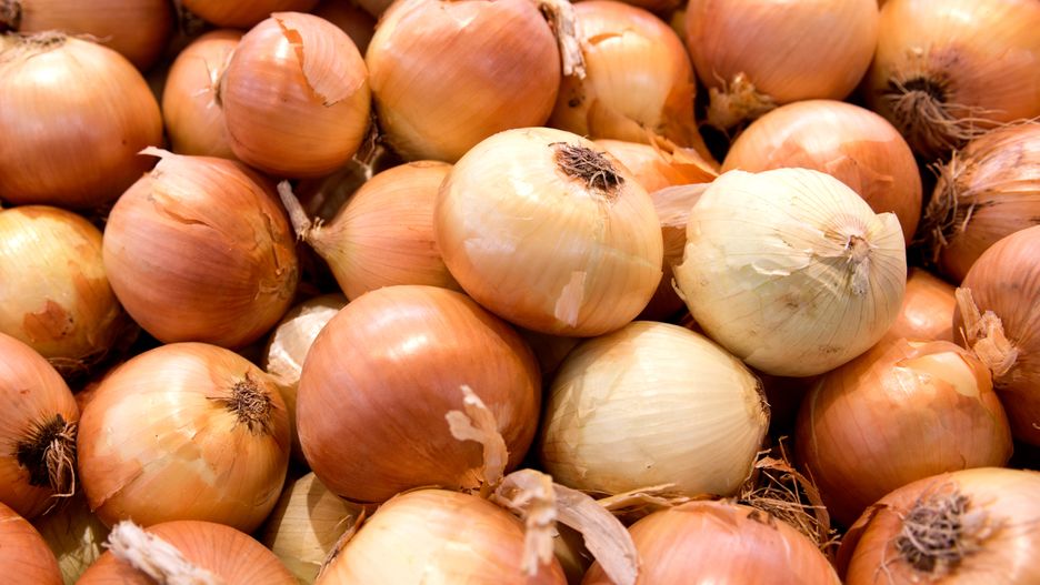 Cena kilograma cebuli w hurcie jest obecnie ponad dwukrotnie wyższa niż rok temu