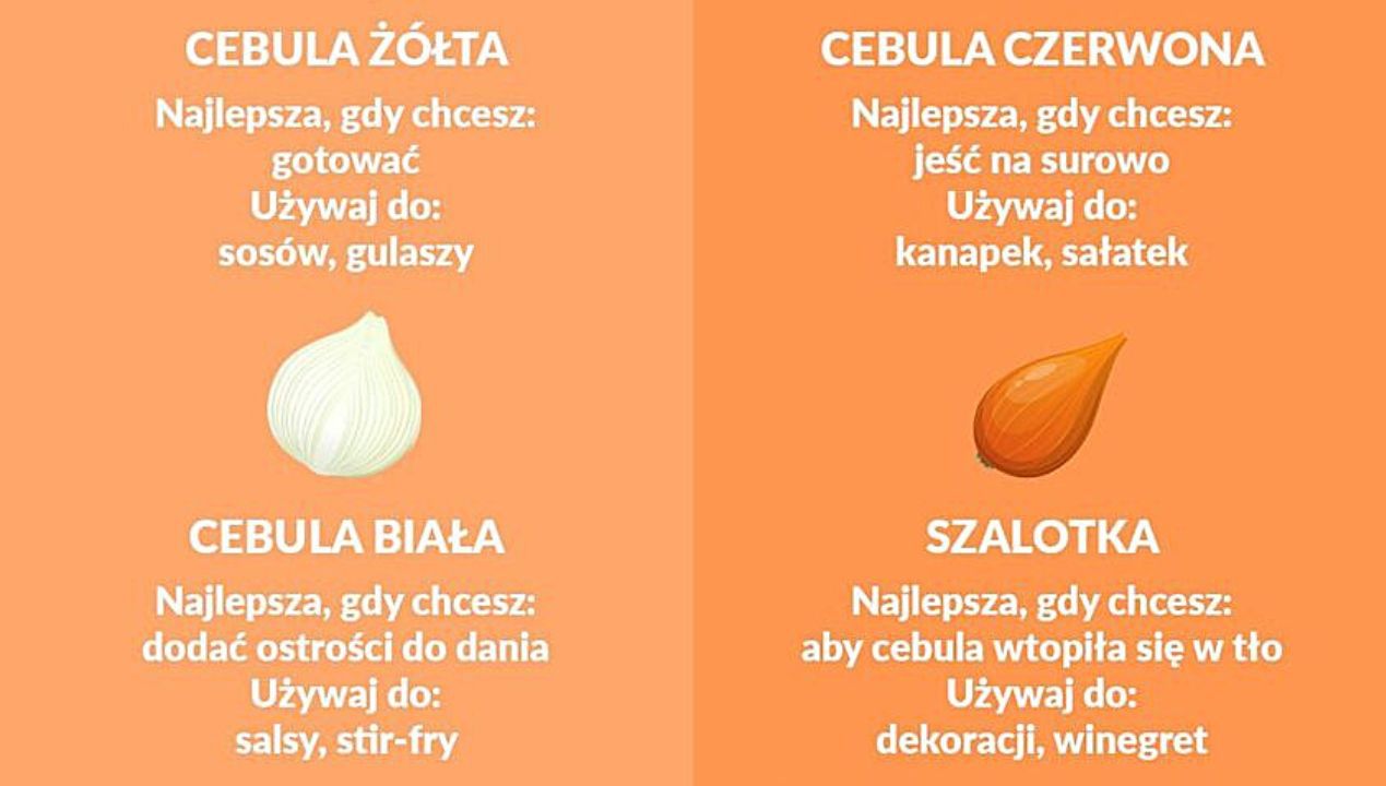 Rodzaje cebuli Fot. genialne.pl