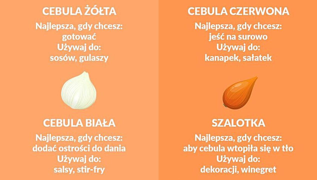 Poznaj rodzaje cebul i przekonaj się, do czego nadają się najlepiej