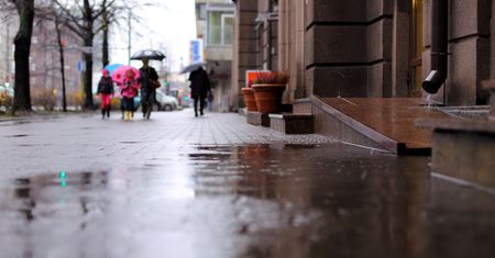 W wigilię pogoda rozczaruje niejednego. Szansy na białe święta nie ma