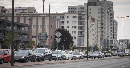 Burmistrz Woli nie chce drzew przy ulicy, bo "powodują ciemność na chodnikach"