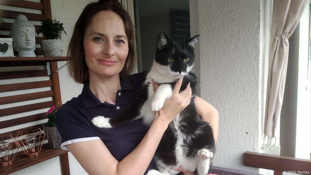 Niemcy adoptują polskie psy i koty. Niechciane zwierzaki znajdują nowy dom