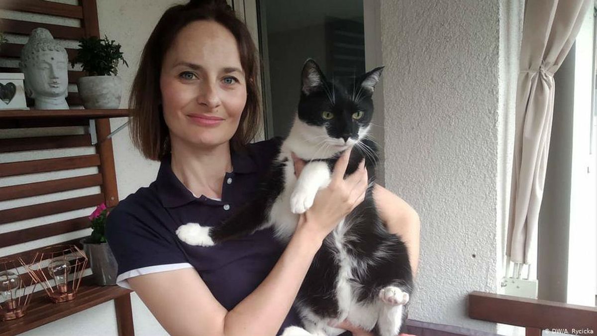 Niemcy adoptują polskie psy i koty. Niechciane zwierzaki znajdują nowy dom
