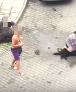 Skandal w Nowym Sączu. Pitbull zagryzł psa i rzucił się na kobietę. Policja umorzyła postępowanie