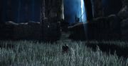 7 rzeczy, które warto wiedzieć o Dark Souls 2