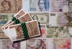 Bank Litwy cały zysk za 2008 rok będzie musiał przekazać państwu