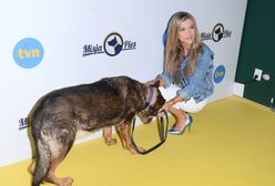 ABC psiej adopcji. Joanna Krupa o miłości do psiaków