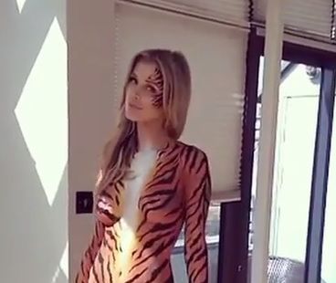 Drapieżna Joanna Krupa? Walczy o prawa zwierząt jako tygrysica