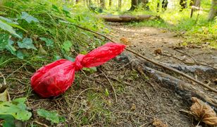 „Groźny” monotlenek diwodoru rozpylony na trawniku w Poznaniu