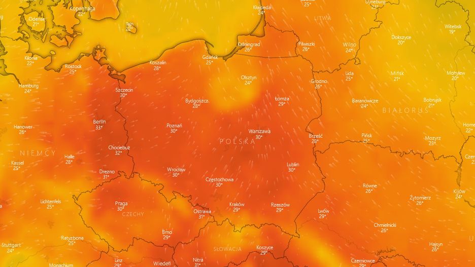 Do piątku możemy spodziewać się upałów sięgających do 35 stopni Celsjusza