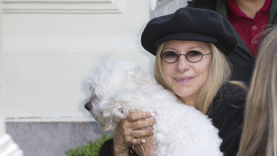 Barbra Streisand ze swoim ukochanym pupilem, Sammie'm (oryginałem)