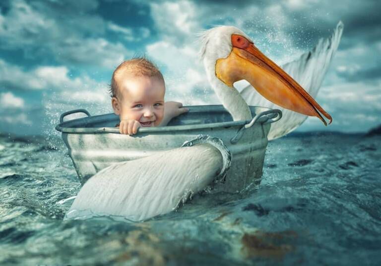 john_wilhelm_is_a_photoholic