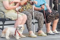 Trzynasta emerytura była minimalnie niższa. ZUS zaoszczędził na niej 2,5 mln zł