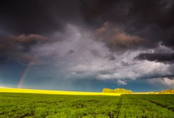 Przed nami dynamiczne zmiany. Prognoza pogody na najbliższe dni