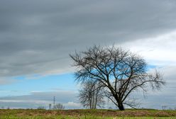 Deszczowa jesień przerywana przejaśnieniami. Pogoda w piątek