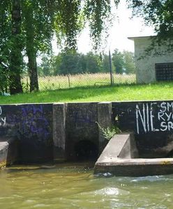 Polacy Mazury kochają. Tylko dlaczego po sobie nie sprzątają?