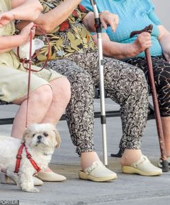 Trzynasta emerytura była minimalnie niższa. ZUS zaoszczędził na niej 2,5 mln zł