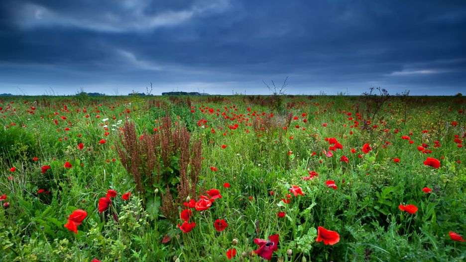 W sobotę słonecznymi chwilami będziemy mogli cieszyć się tylko od czasu do czasu