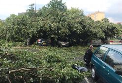 Deszcz, burza i nawałnice nad Polską. Ogromne zniszczenia, około trzech tysięcy odbiorców bez prądu