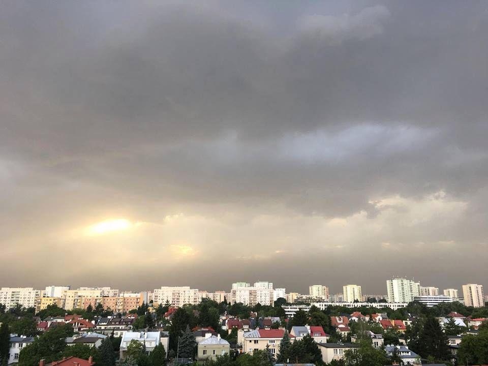Obraz